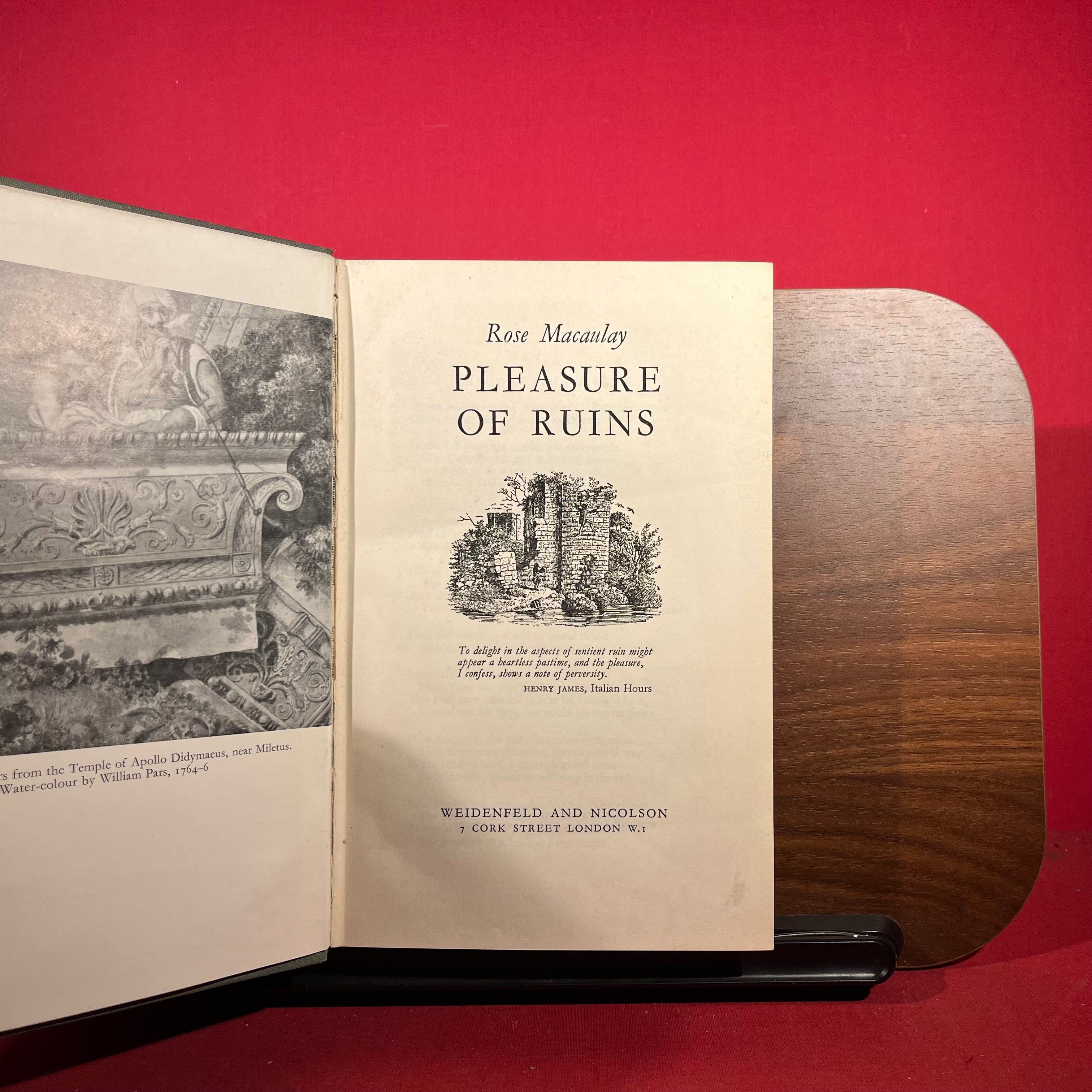 Pleasure of Ruins