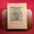 Petites Fleurs de Saint Francois d'Assise