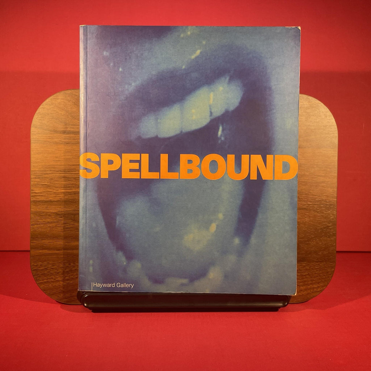 Spellbound: Art and Film in Britain