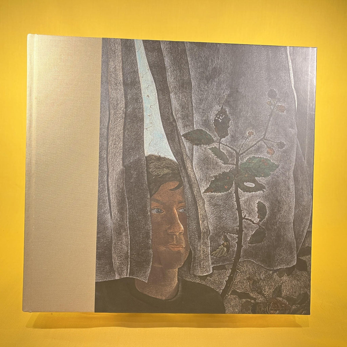 Lucian Freud: Drawings: Selected by William Feaver