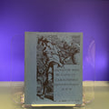 Salvator Rosa [Exhibition Gallery: Hayward Gallery, London, 1973]