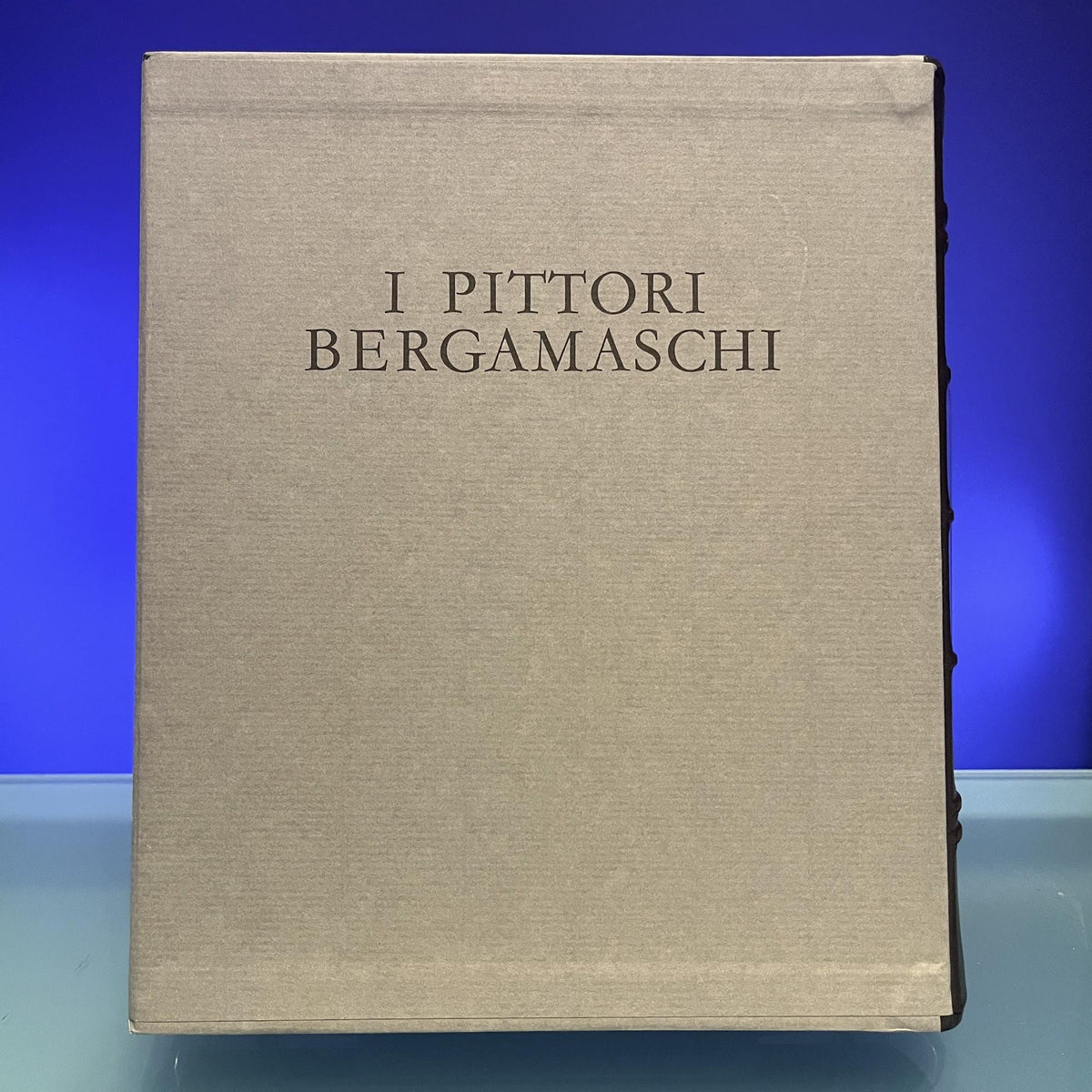 I Pittori Bergamaschi : Il Seicento vol. III