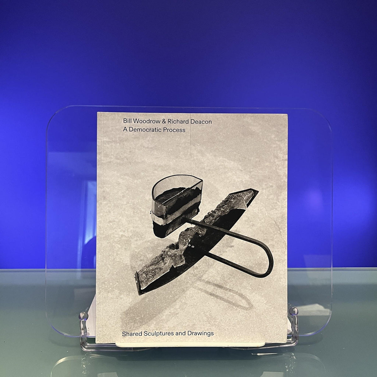Bill Woodrow & Richard Deacon - A Democratic Process: Shared Sculptures and Drawings