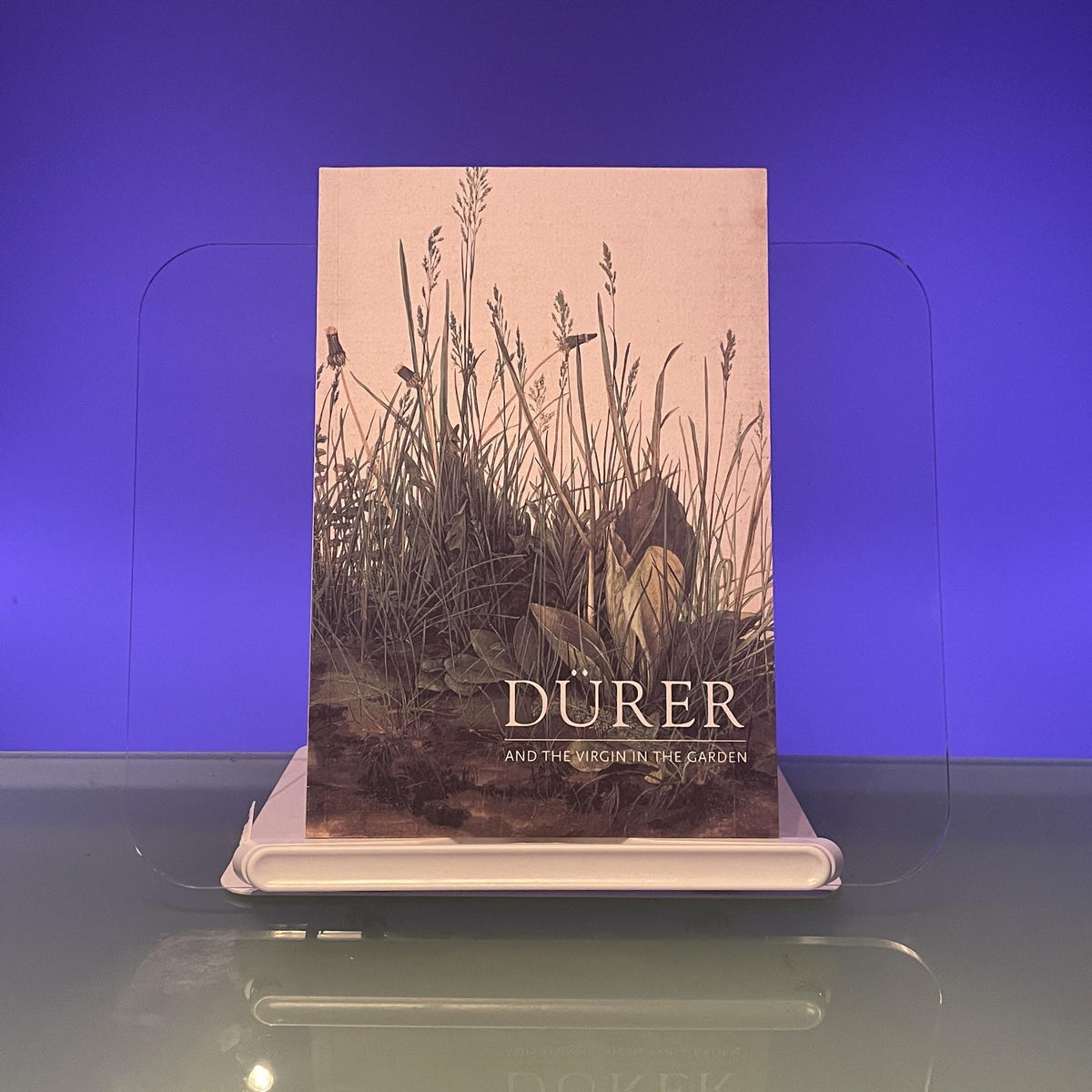 Durer and the Virgin in the Garden (National Gallery Publications)
