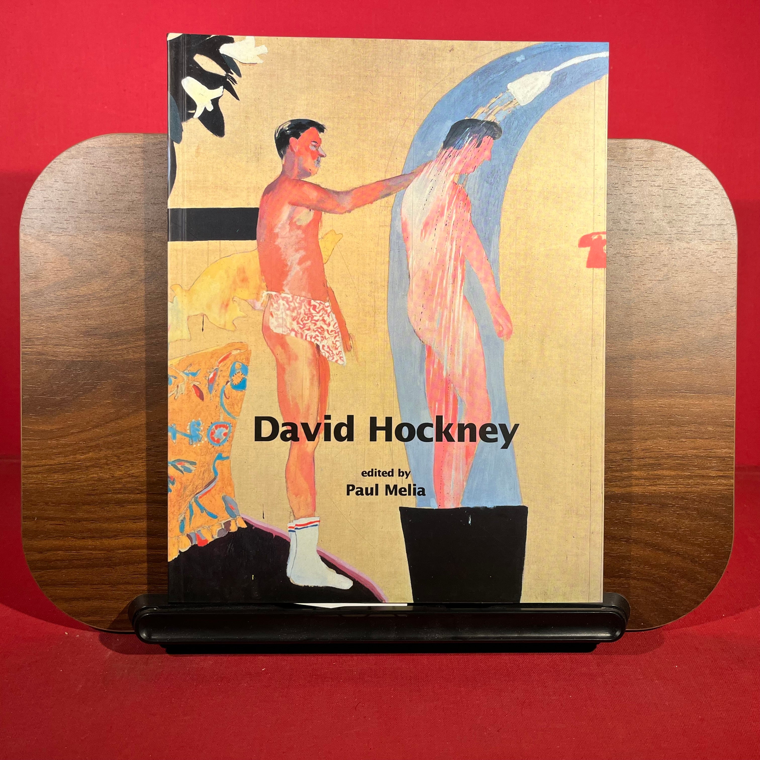 David Hockney (Critical Introductions to Art)