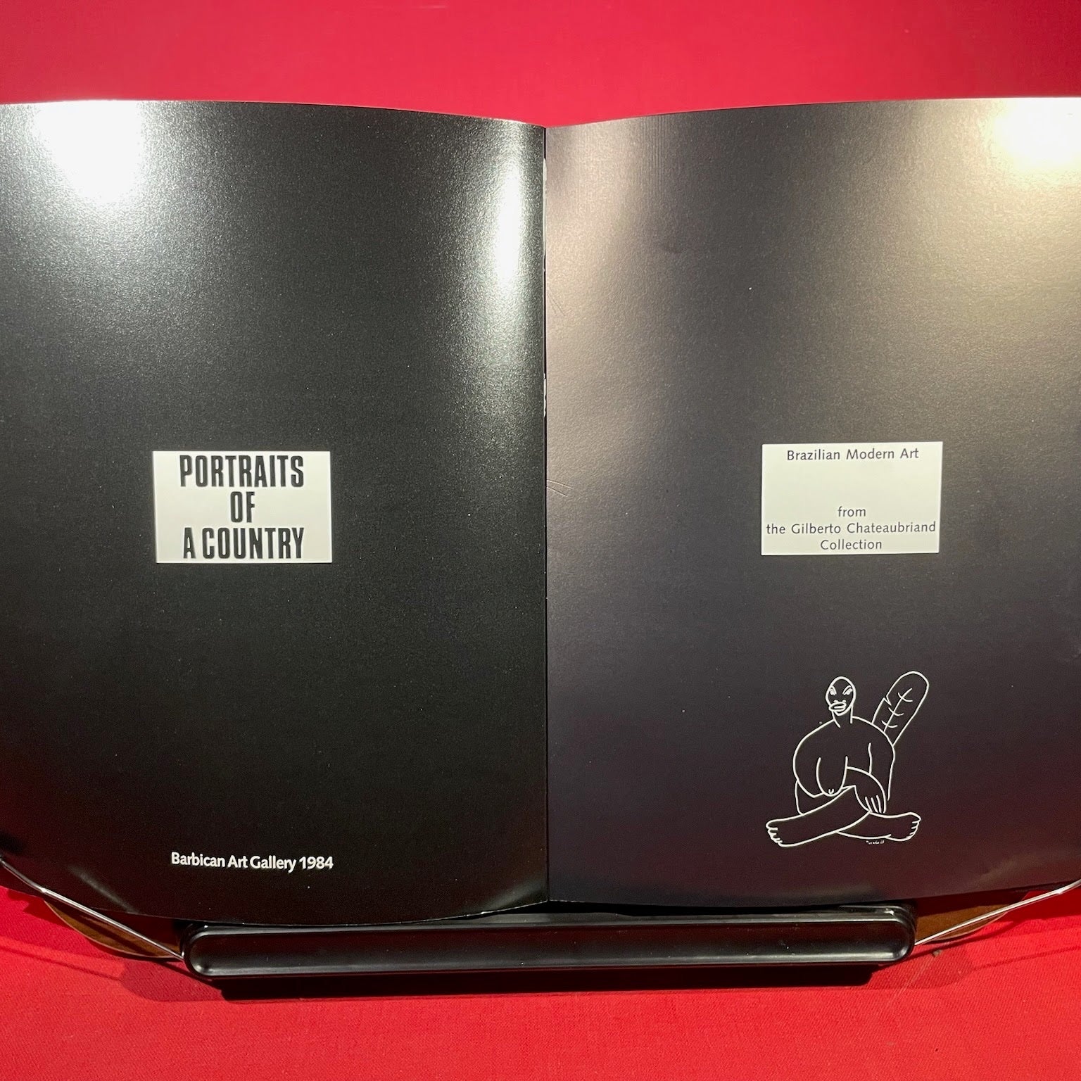Portraits of a country: Brazilian modern art from the Gilberto Chateaubriand collection