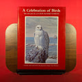 Celebration of Birds