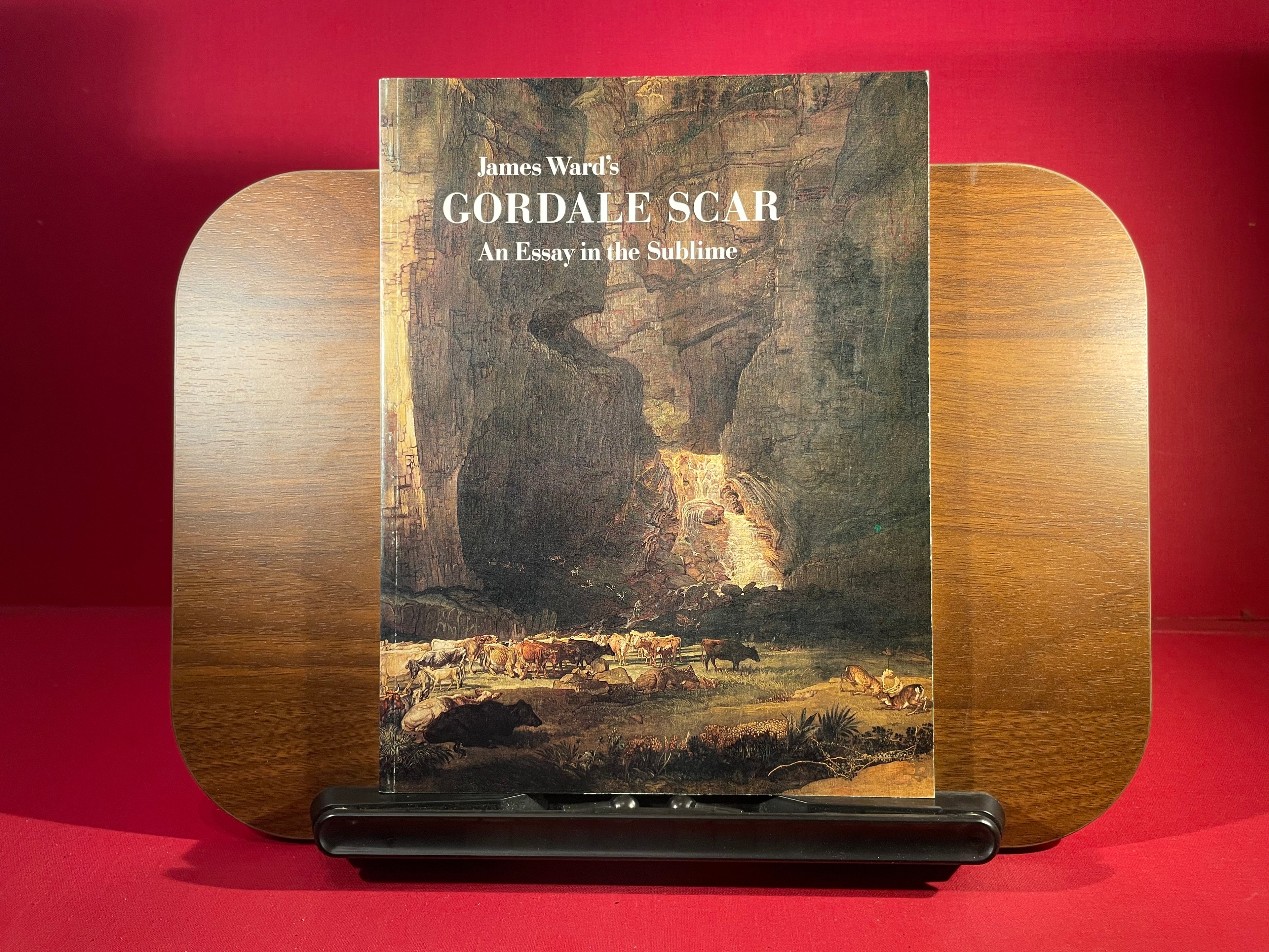 James Ward's Cordale Scar : An Essay in the Sublime