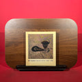 Bill Culbert Selected Works 1968 - 1986
