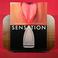 Sensation: Young British Artists from the Saatchi Collection