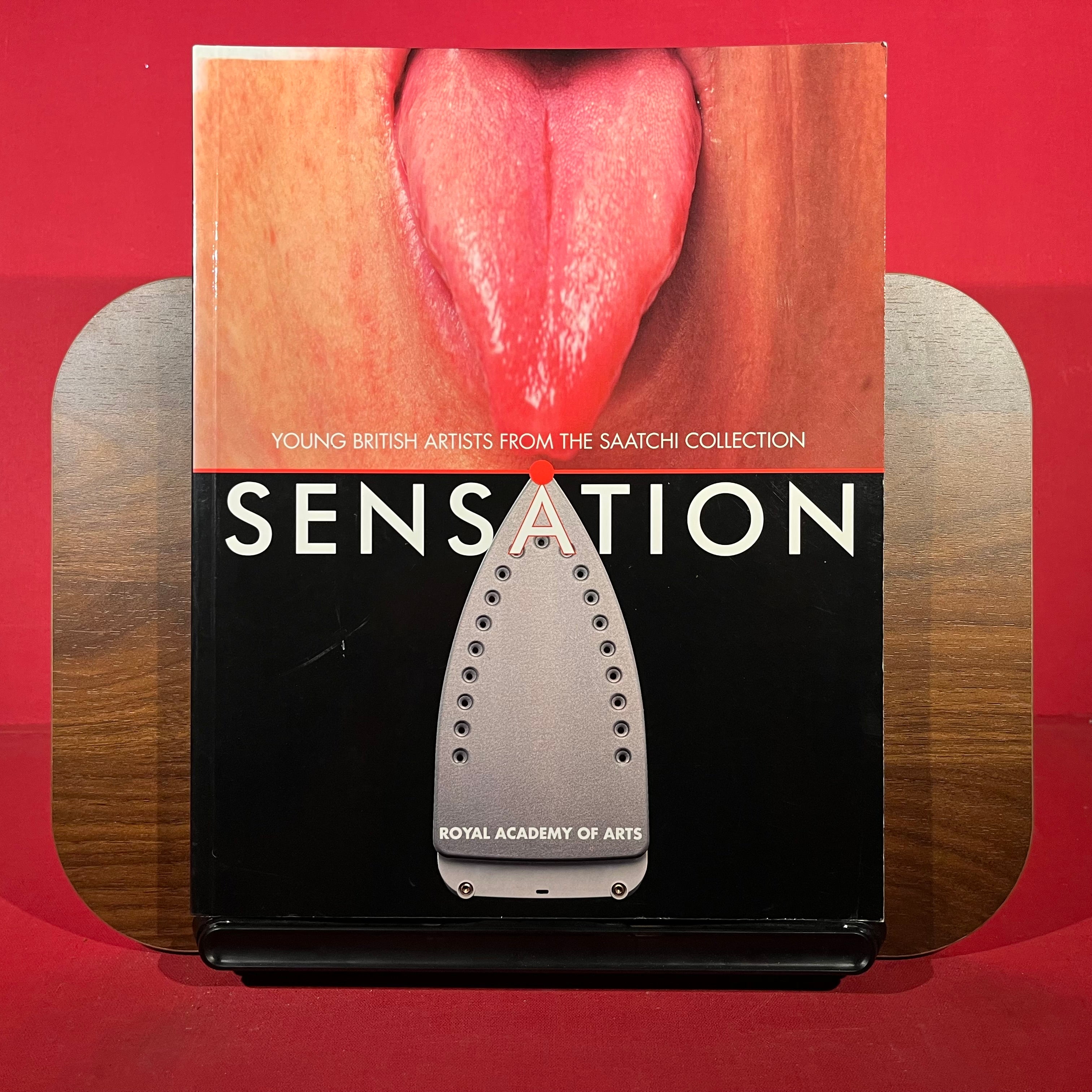 Sensation: Young British Artists from the Saatchi Collection