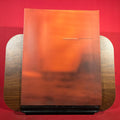 Stephan Reusse : Leaving Shadows : Thermographs 1982-2002