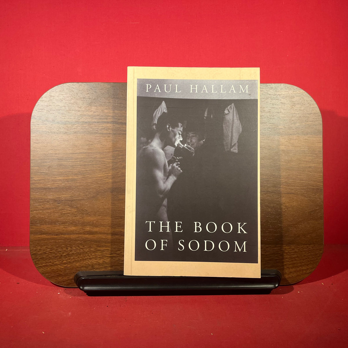 The Book of Sodom