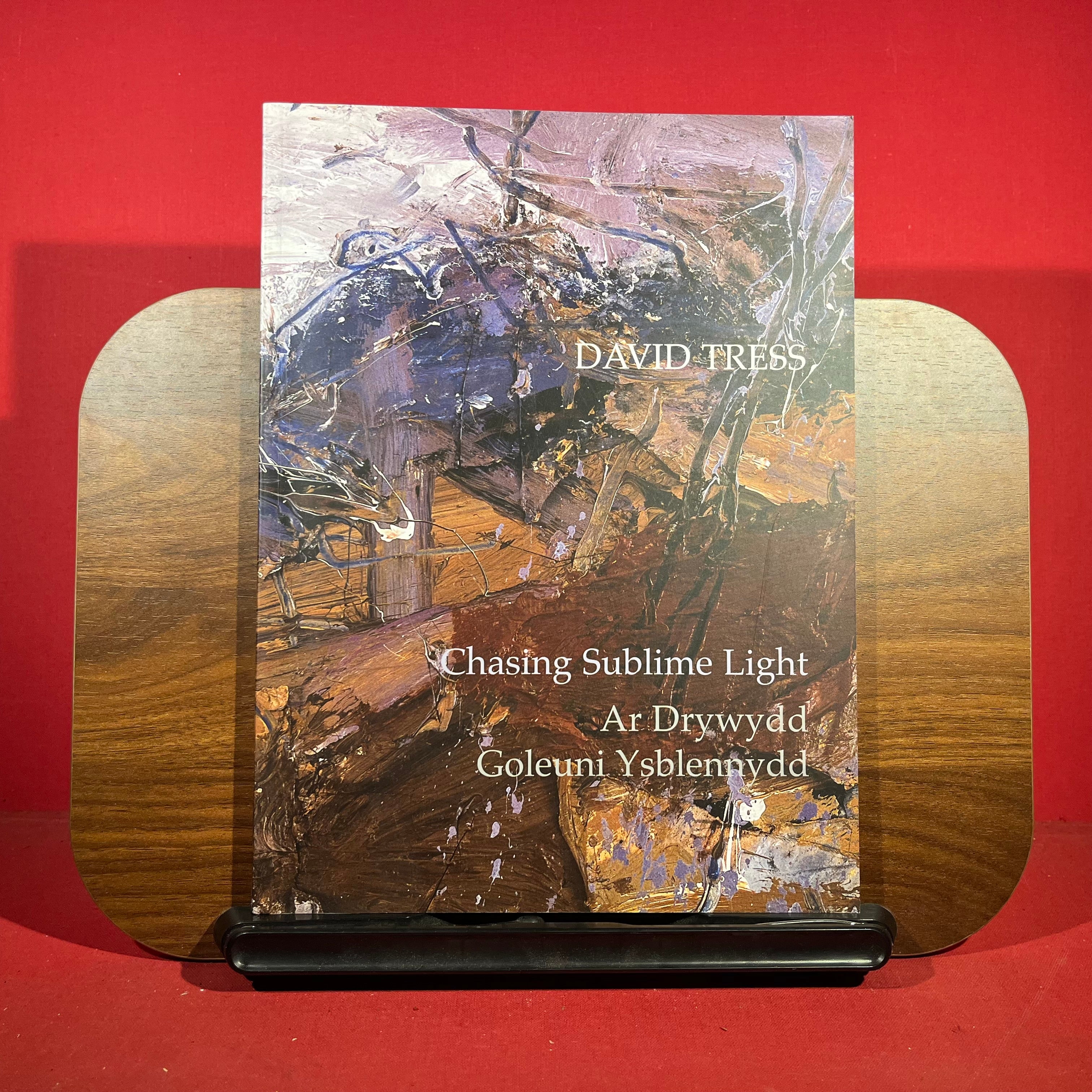 David Tress: Chasing Sublime Light (Ar Drywydd Doleuni Ysblennydd)