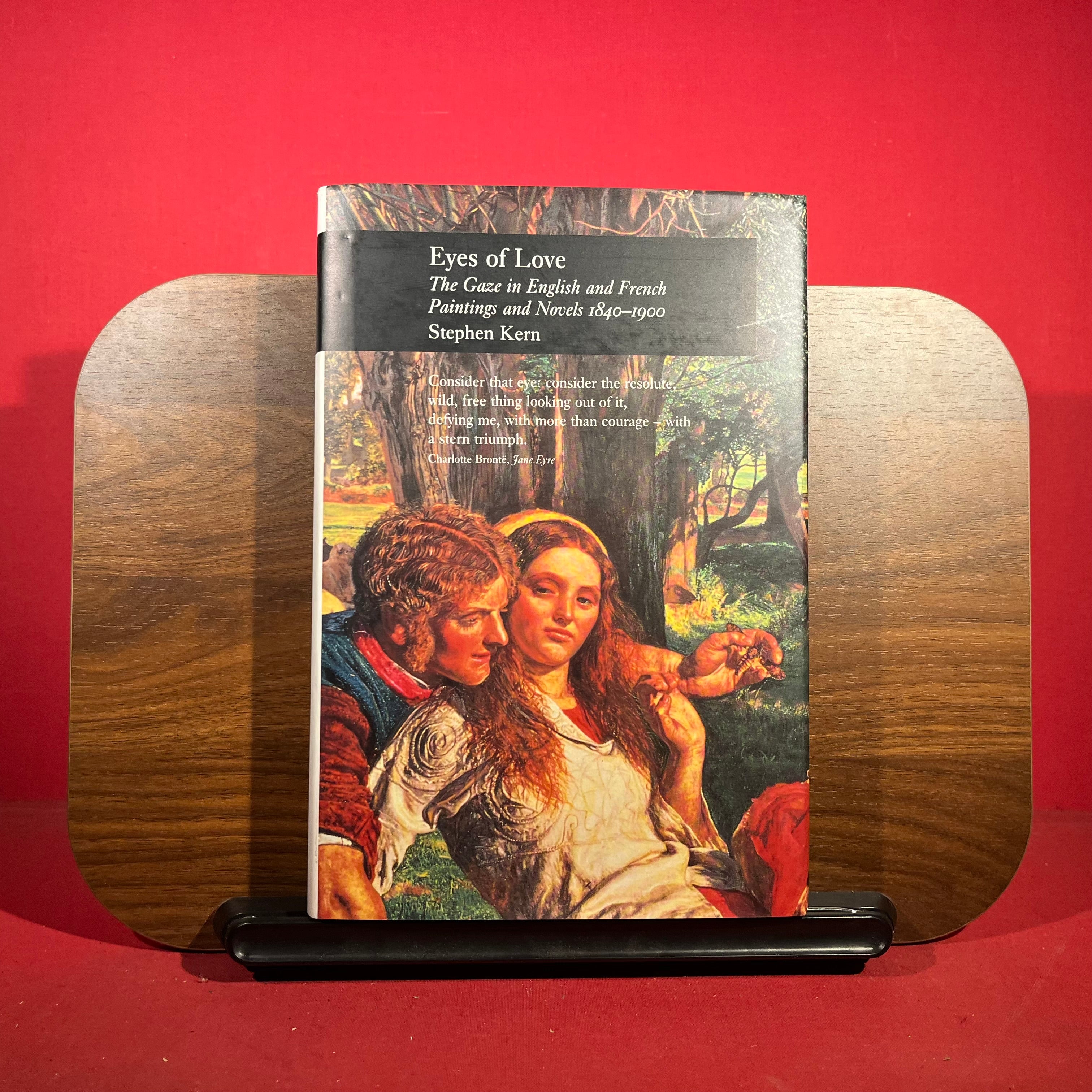 Eyes of Love: the Gaze in English and French Paintings and Novels 1840-1900 (PICTURING HISTORY)