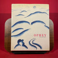 Walter Ophey, 1882-1930: Leben und Werk mit einem Werkverzeichnis der Gemalde und Druckgraphik (German Edition)