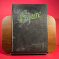 Figure : Collected Editions, vol.1