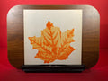 Falling Leaf: Aerial Dropped Propaganda, 1914-68