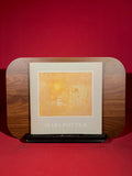 Mary Potter: Paintings 1922-80