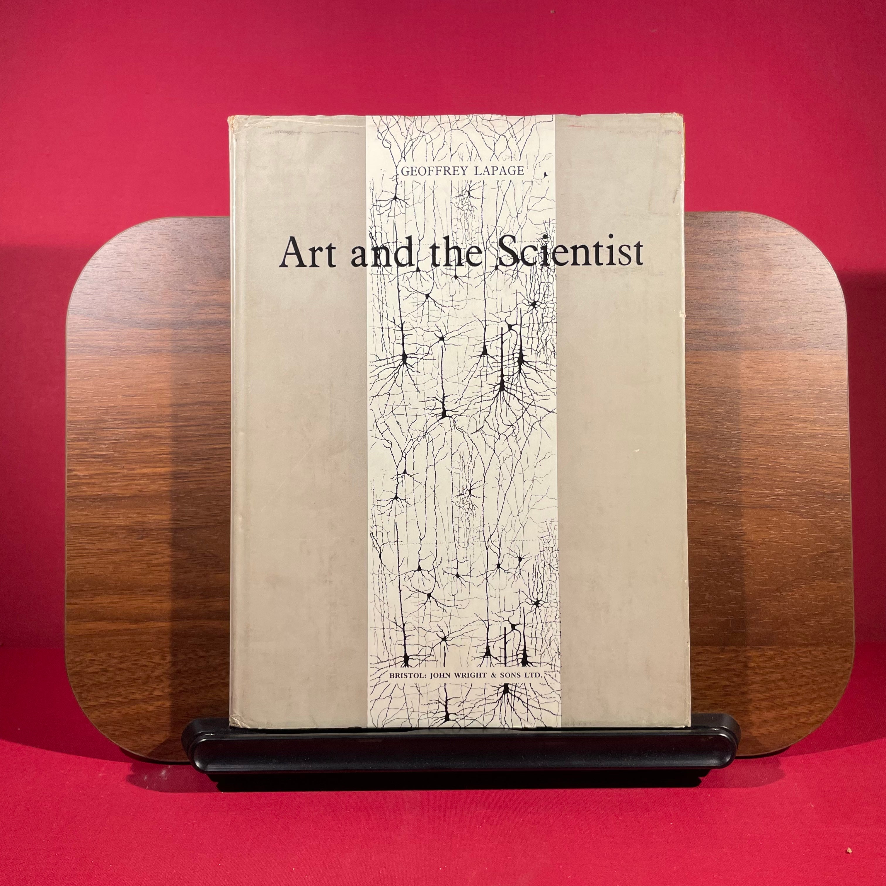 Art and the Scientist