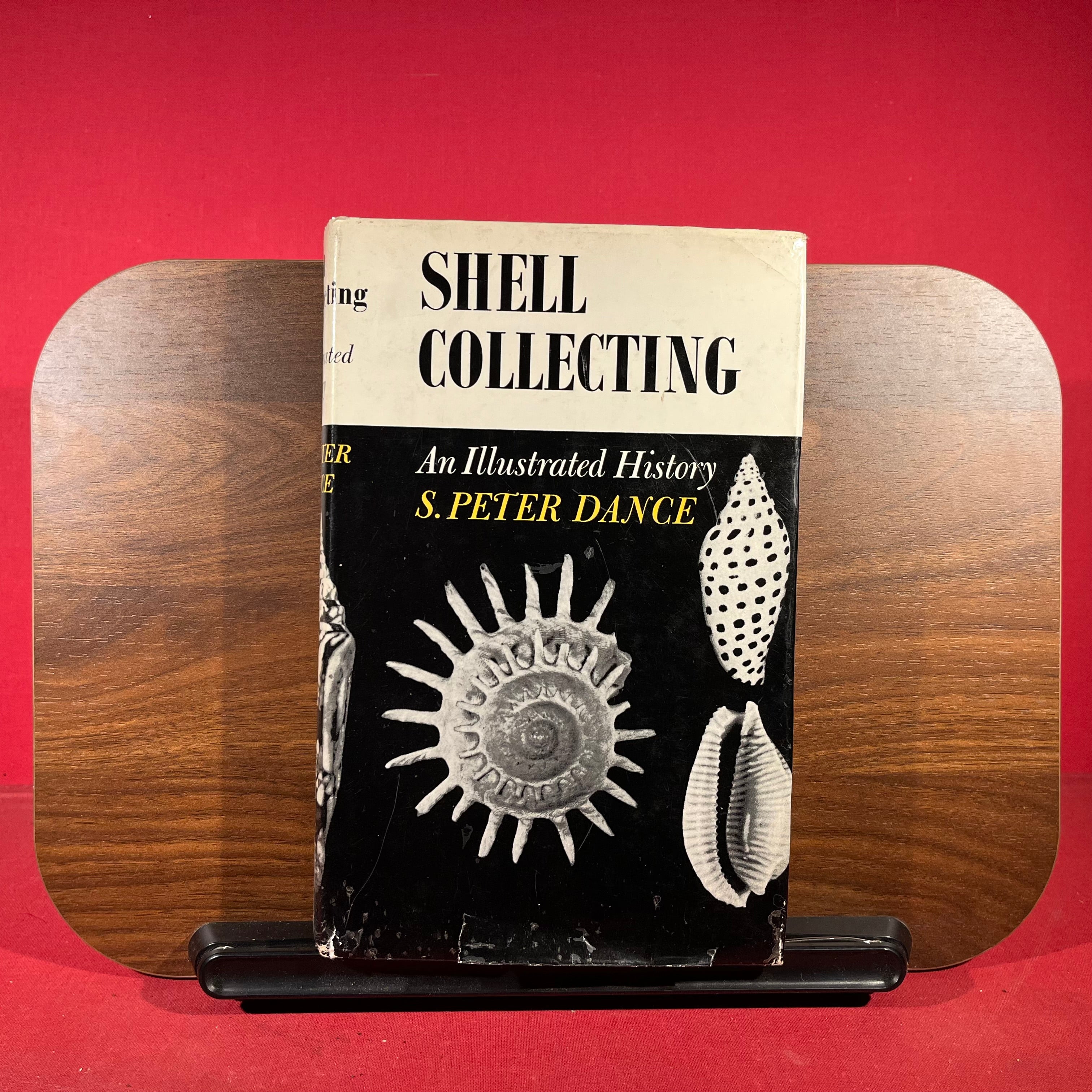 Shell Collecting an Illustrated History