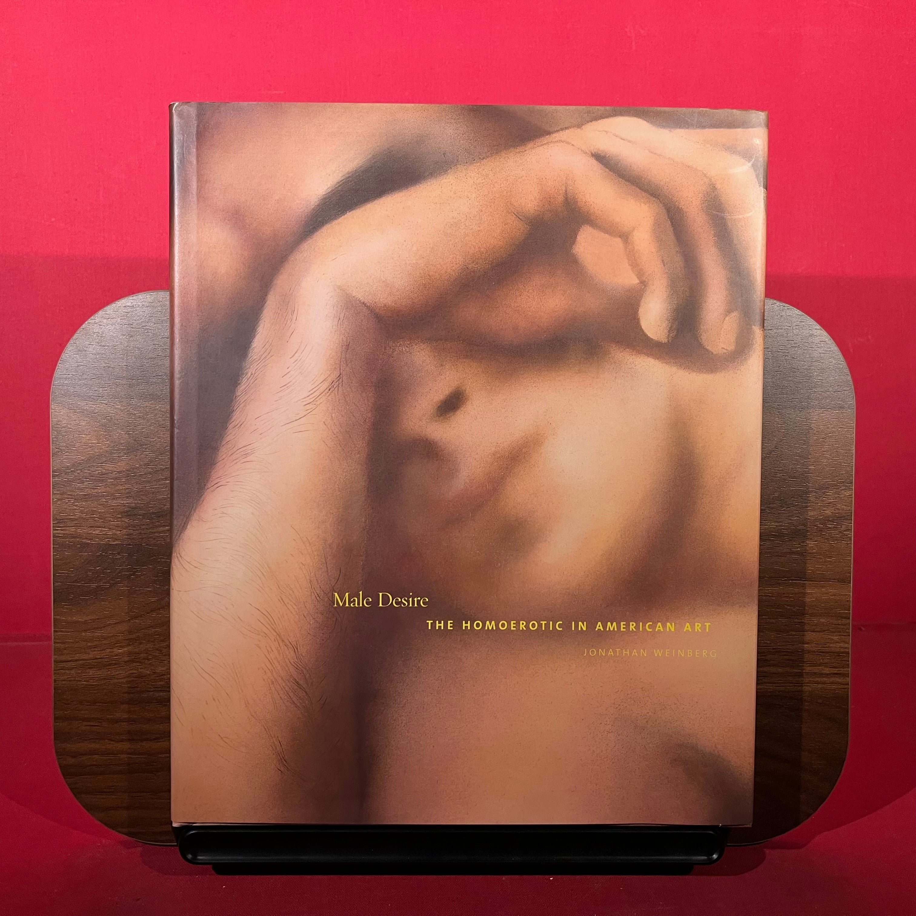 Male Desire: The Homoerotic in American Art
