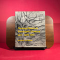Turning Points in Twentieth Century Art : 1890-1917