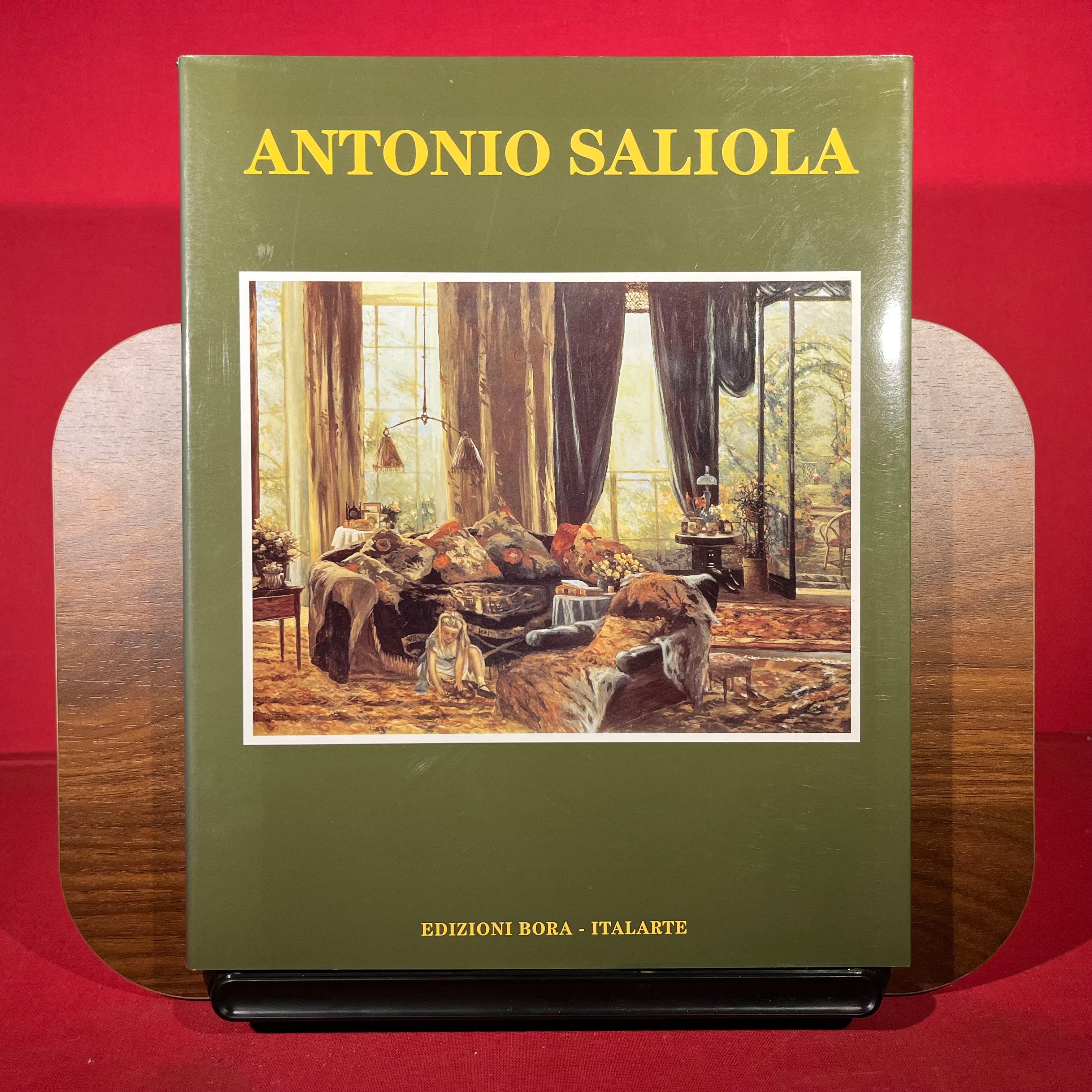 Antonio Saliola. Un ladro di pomeriggi (Temi d'arte contemporanea)
