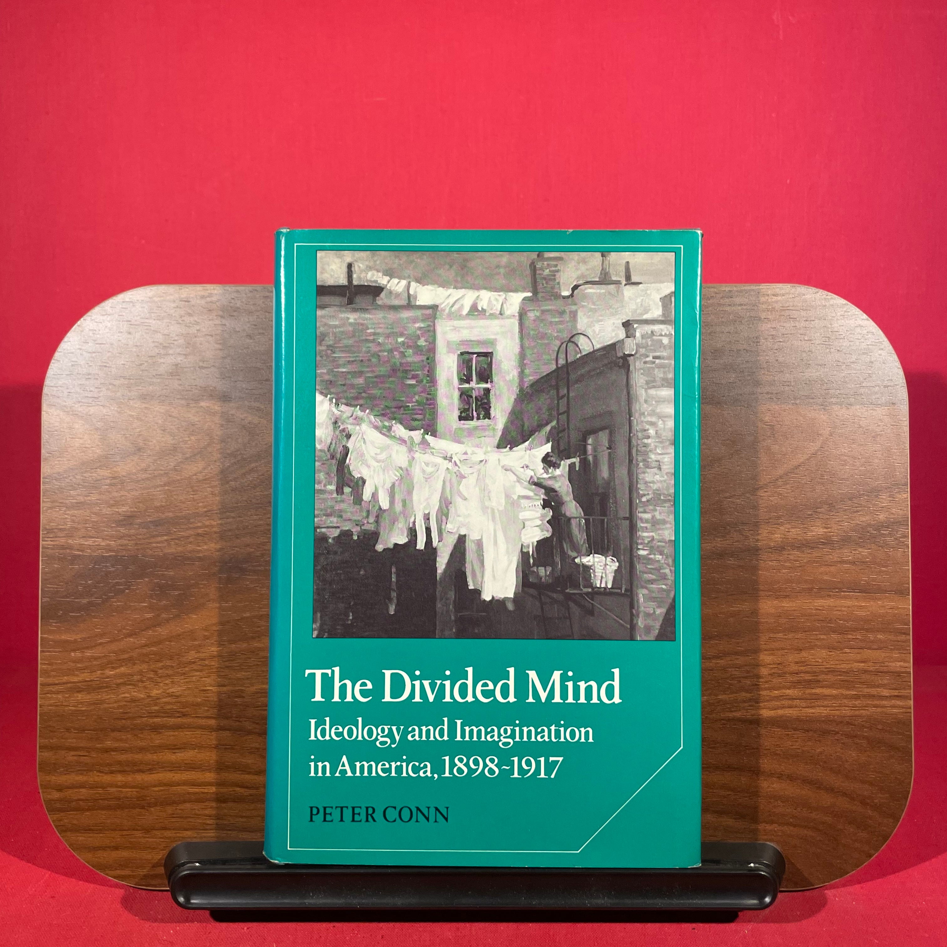 The Divided Mind: Ideology and Imagination in America, 1898-1917