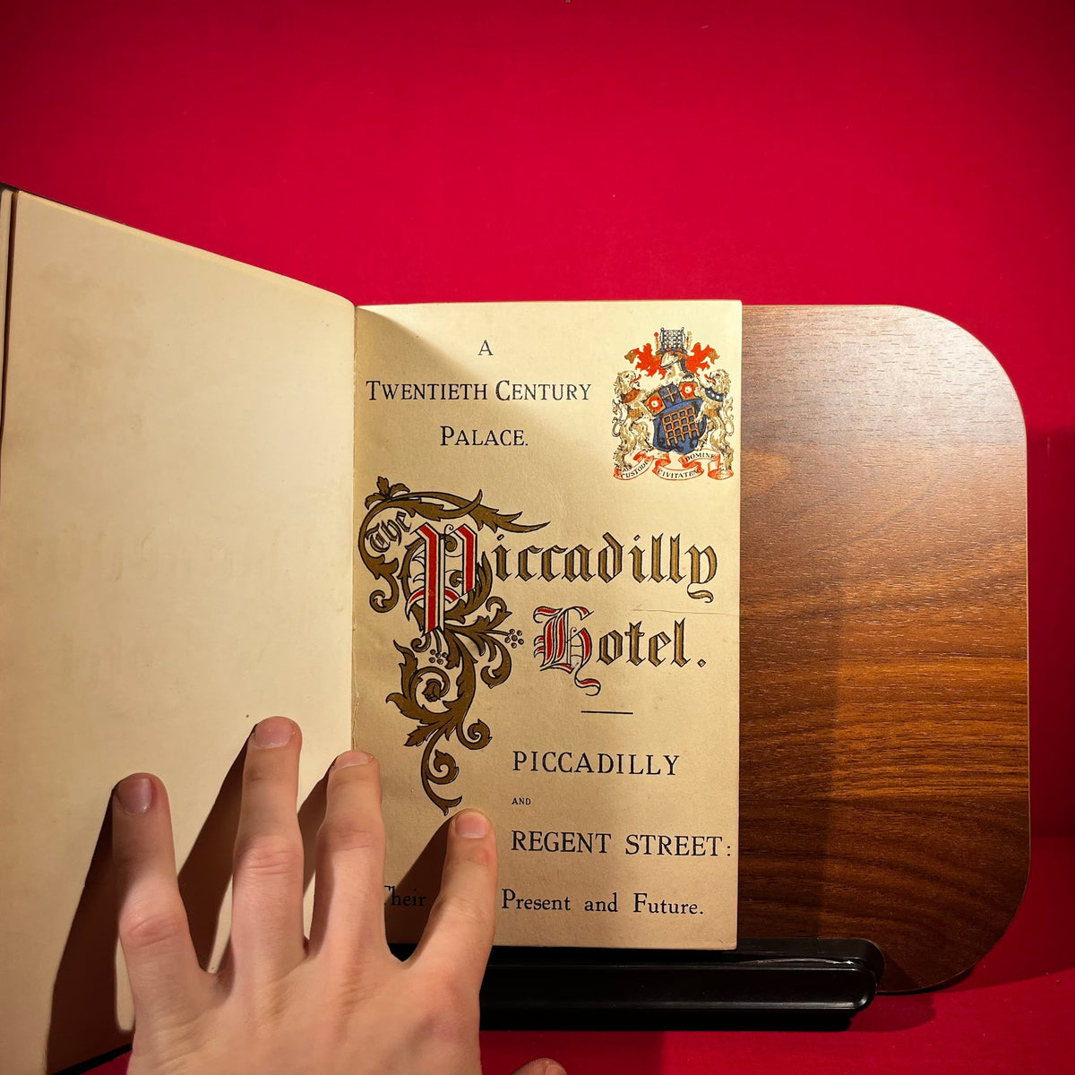 The Piccadilly Hotel : A Twentieth Century Palace