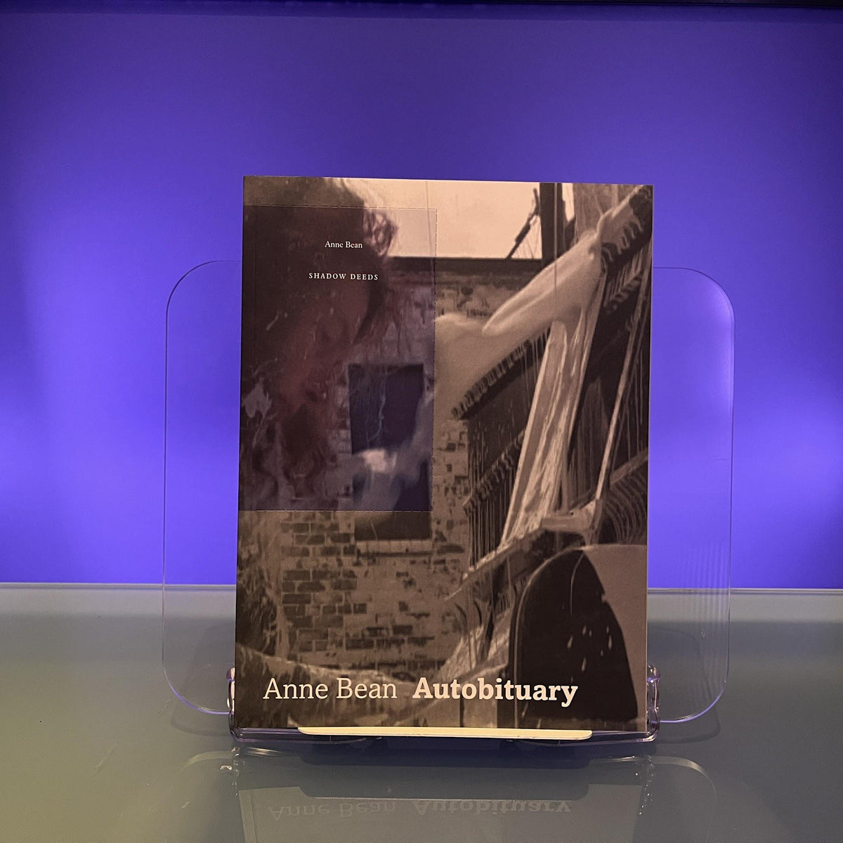 Anne Bean - Autobituary