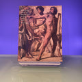 European Paintings Before 1900 in the Fogg Art Museum: A Summary Catalogue Including Paintings in the Busch-Reisinger Museum