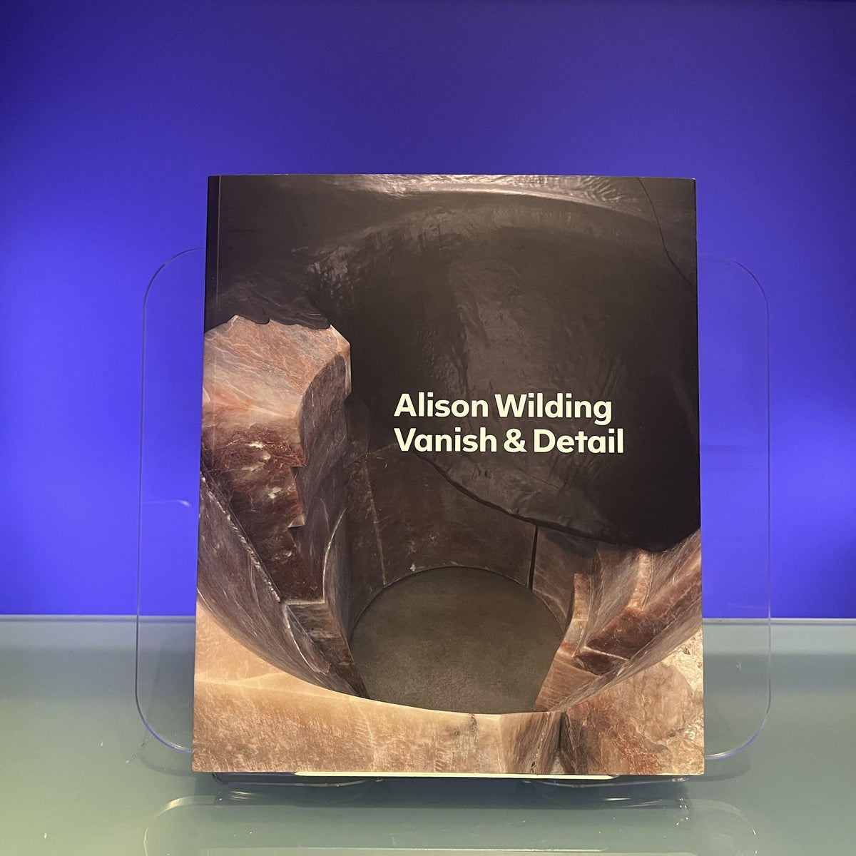 Alison Wilding: Vanish & Detail (Tate Britain, London: Exhibition Catalogues)