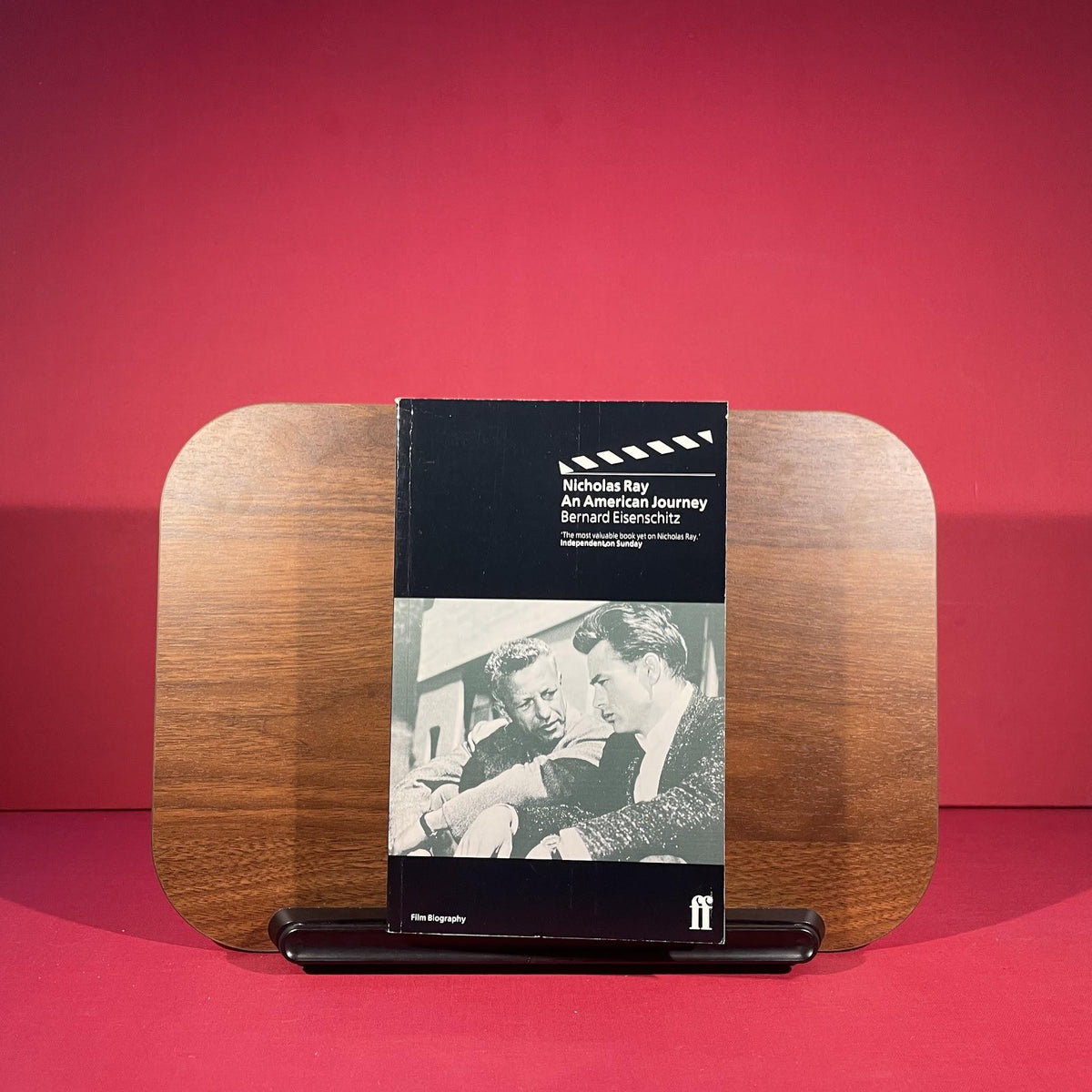 Nicholas Ray: An American Journey
