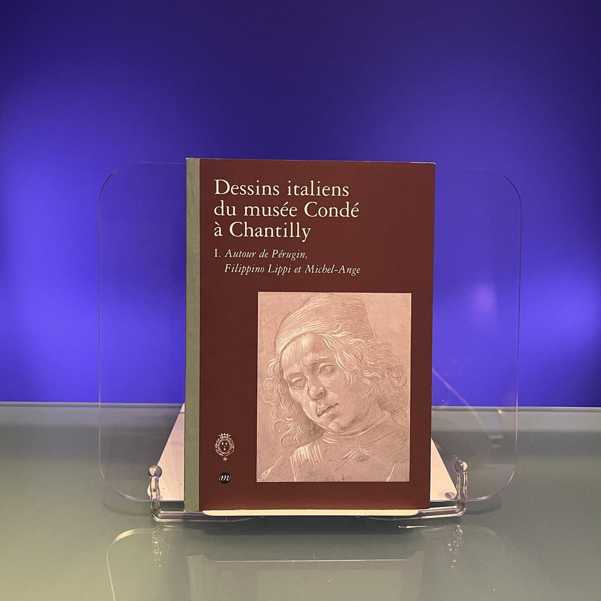 Dessins Italiens Musee Conde: Tome 1, Autour de Pérugin, Filippino Lippi et Michel-Ange