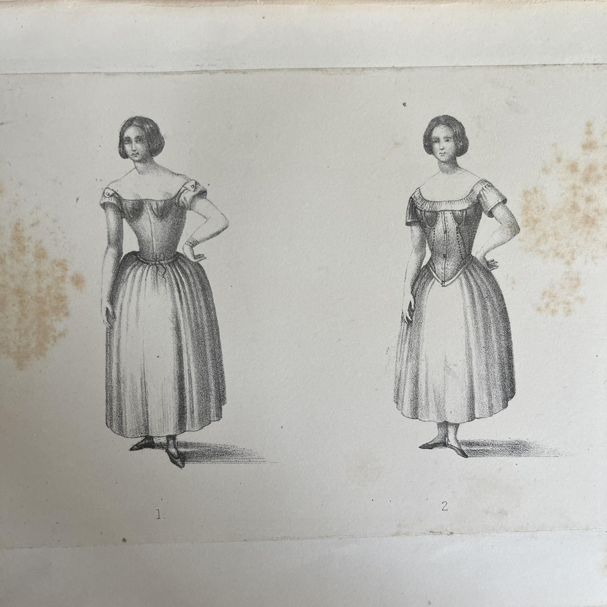 Health and Beauty; or, Corsets and clothing constructed in accordance with the physiological laws of the human body