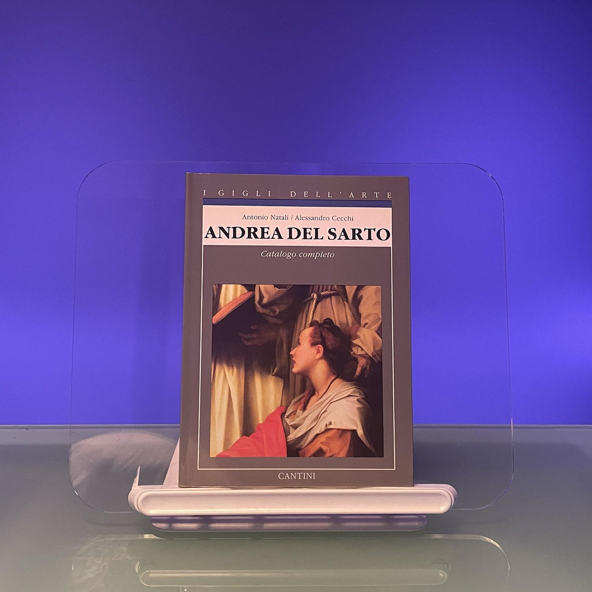 Andrea del Sarto