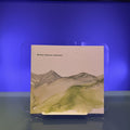 Michael Andrews: Landscapes