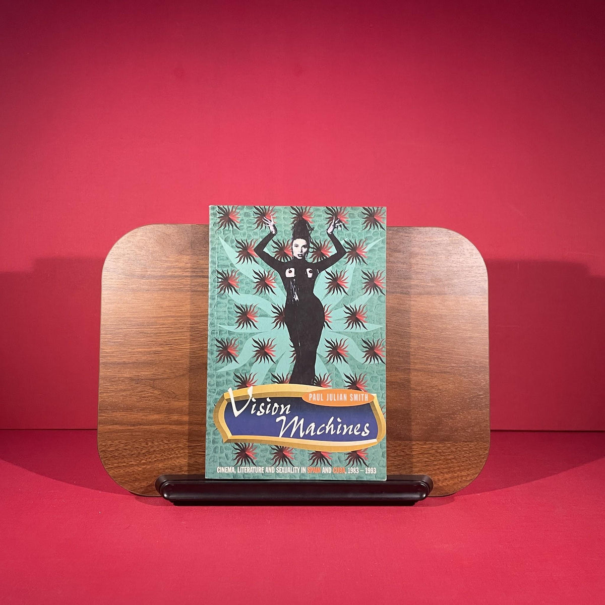 Vision Machines: Cinema, Literature and Sexuality in Spain and Cuba, 1983-1993 (Critical Studies in Latin American Culture)