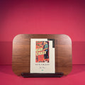 Gun Crazy (BFI Film Classics)