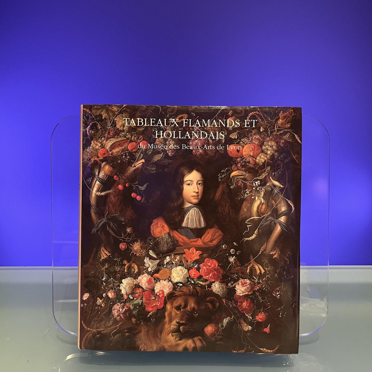 Tableaux Flamands et Hollandais du Musée des Beaux-Arts de Lyon