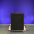 Expositions of the Cartoons of Raphael