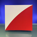 Elsworth Kelly : A Retrospective