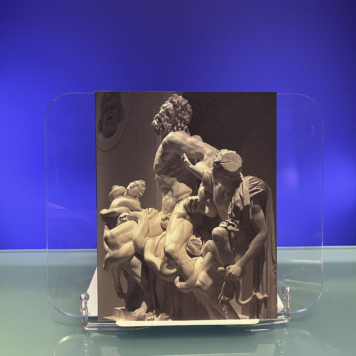 High Renaissance in the Vatican : The Age of Julius II and Leo X [Exhibition Catalogue: National Museum of Western Art, Tokyo, 1993]