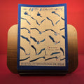 Le 40e Festival de Cannes: 7 au 19 Mai 1987 Programme Officiel