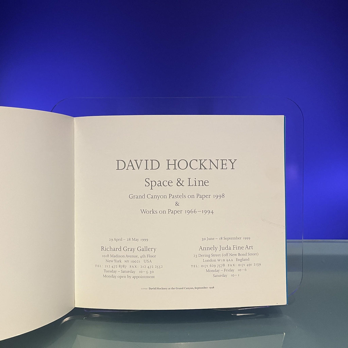 David Hockney: Space and Line