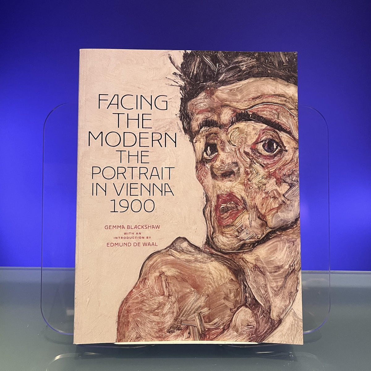 Facing The Modern : The Portrait In Vienna 1900