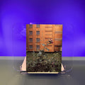 Thinking of the Outside: New Art and the City of Bristol