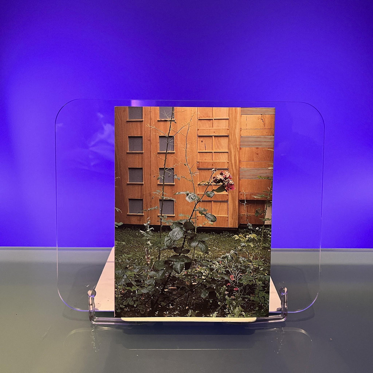 Thinking of the Outside: New Art and the City of Bristol