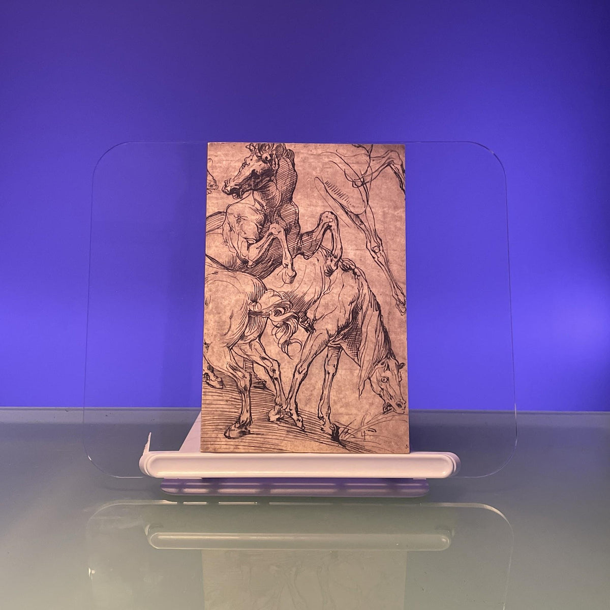 Renaissance and Baroque drawings from the collections of John and Alice Steiner